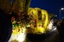 Thumbs/tn_Bloemencorso 2015 217.jpg